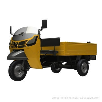 300cc tricycle, 12V/40Ah battery